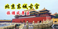 城市女人被大鸡叉B视频免费看中国北京-东城古宫旅游风景区